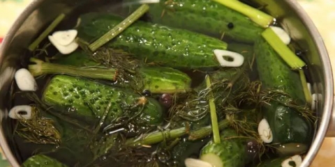 Recepti za lagano slane krastavce za zimu u teglama